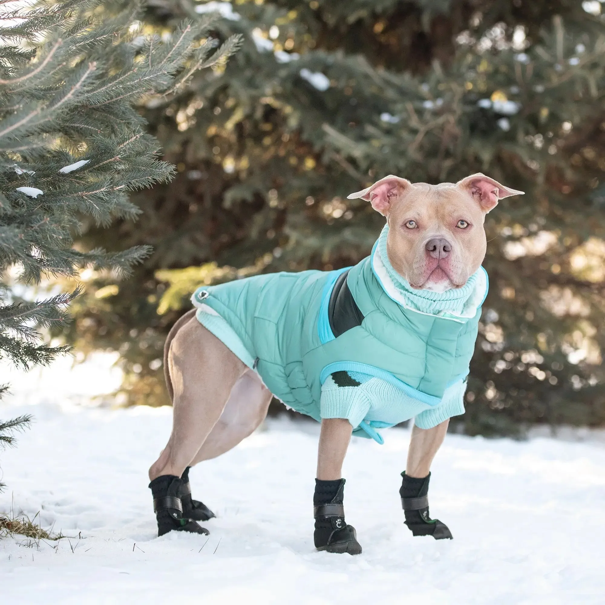 Alpine Puffer | Light Aqua