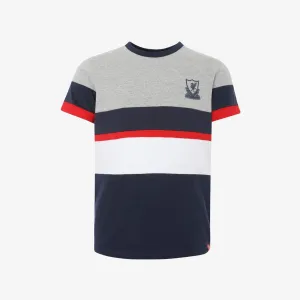 LFC Junior Colour Block Tee (Navy)