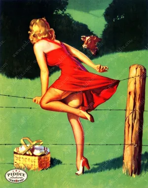 PDXC14386 -- Pin-Ups