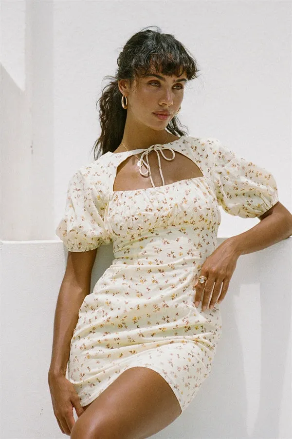 Tialeigh Dress