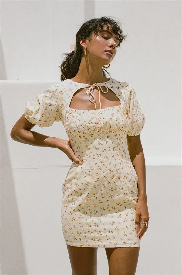 Tialeigh Dress