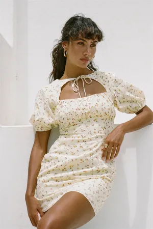 Tialeigh Dress